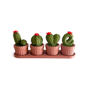 Love Kaktüs Mini Organizer